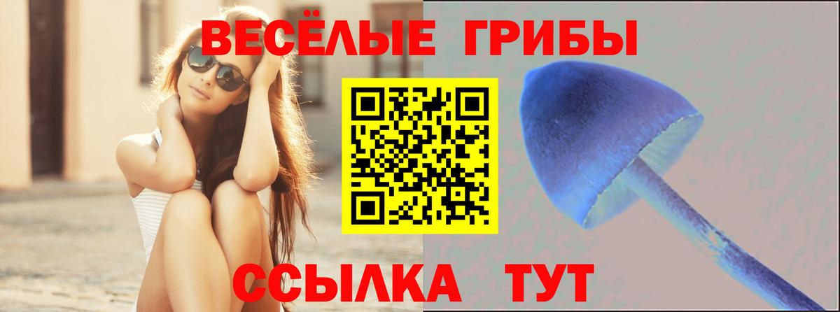 Псилоцибиновые грибы Psilocybe  Вход с VPN  Скопин 